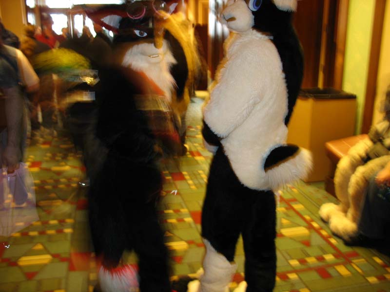 MFF2006 011 fuzzy butts.jpg